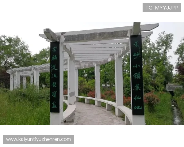 探索开云官方网站在线登陆的全新功能与用户指南